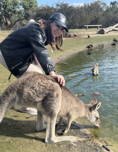 Team Extreme working with Australian team in office collaboration